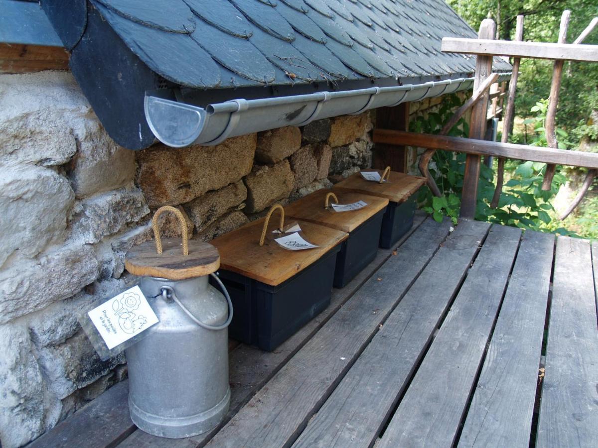 Gite Nature Le Moulin Vitrac-sur-Montane Exterior foto