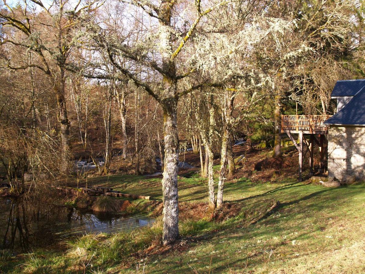 Gite Nature Le Moulin Vitrac-sur-Montane Exterior foto