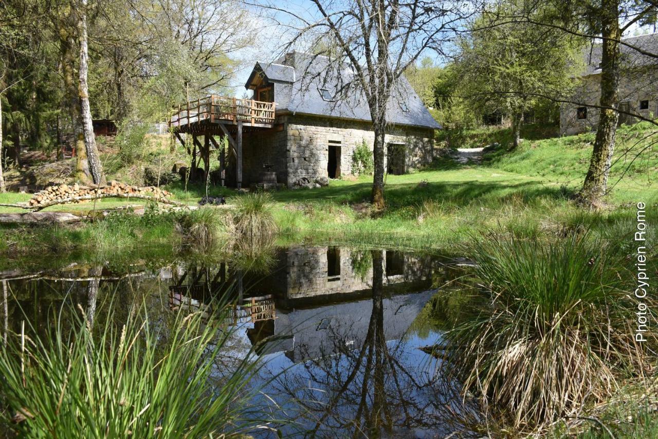 Gite Nature Le Moulin Vitrac-sur-Montane Exterior foto